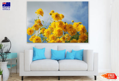 Yellow Chrysanthemum Flowers Photograph Print 100% Australian Made