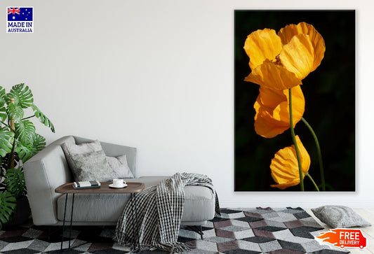 Iceland Poppy Flowers Closeup Photograph Print 100% Australian Made