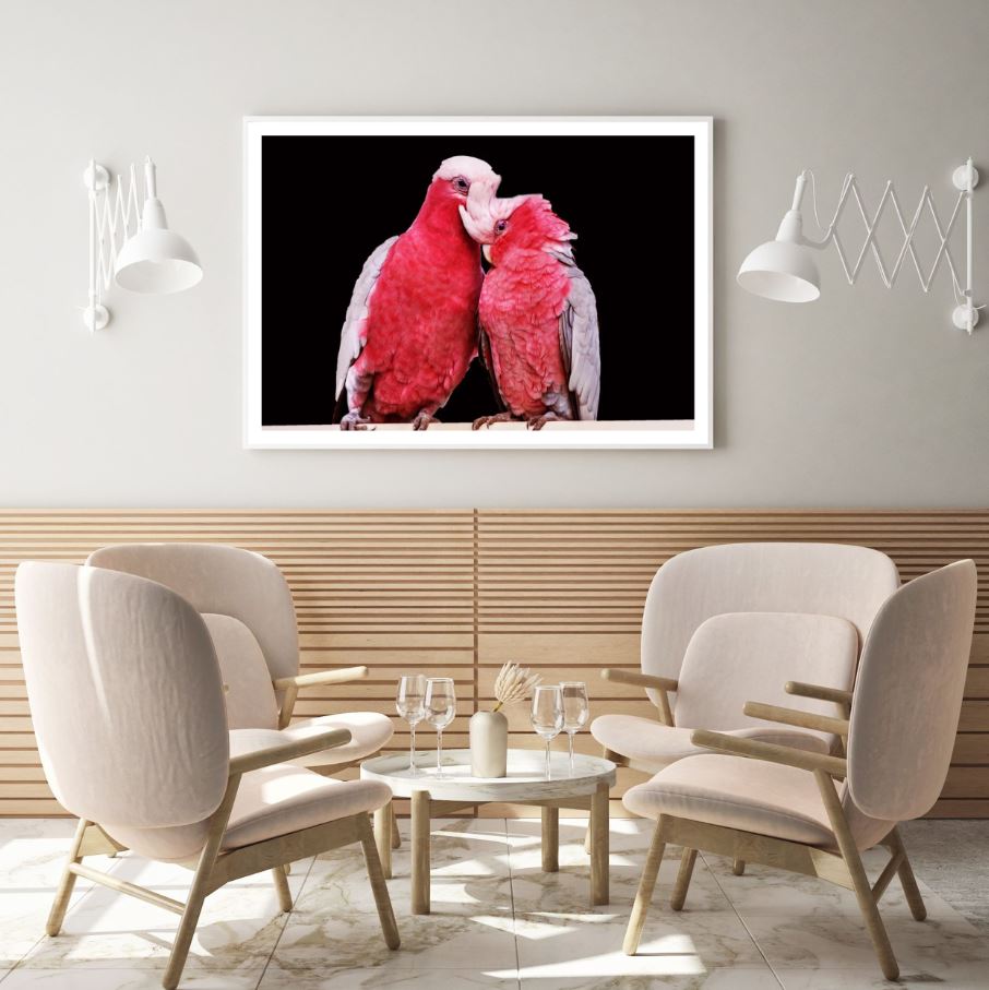 Pink Love Birds Pair Closeup Photograph Home Decor Premium Quality Poster Print Choose Your Sizes
