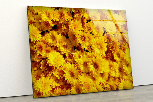 Yellow Flowers Closeup Photograph Acrylic Glass Print Tempered Glass Wall Art 100% Made in Australia Ready to Hang