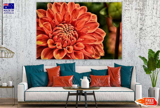 Orange Dahlia Flower Closeup Photograph Print 100% Australian Made