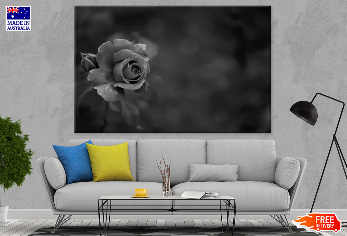 B&W Rose Flower Closeup Photograph Print 100% Australian Made