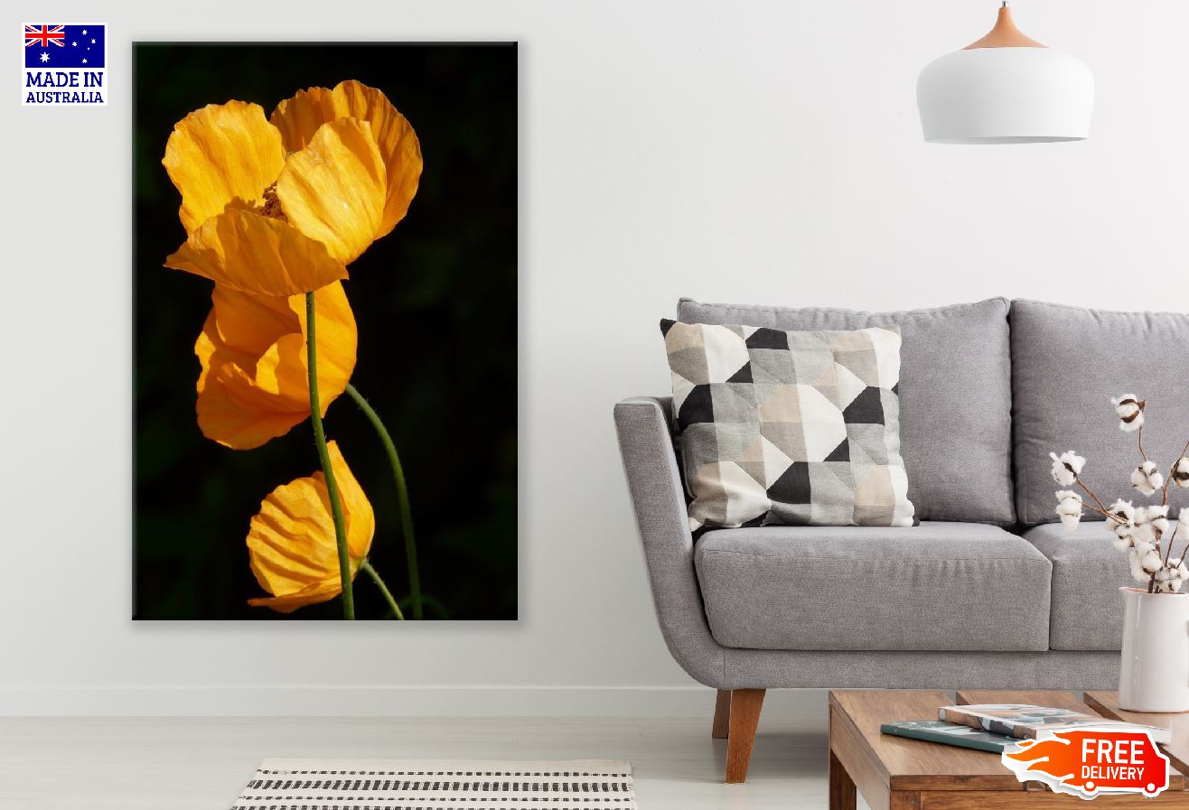 Iceland Poppy Flowers Closeup Photograph Print 100% Australian Made