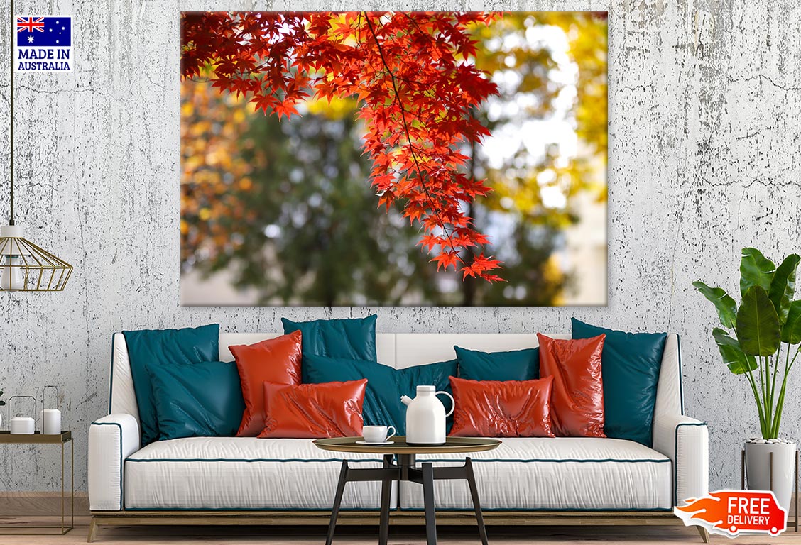 Red Autumn Leaves Closeup Photograph Print 100% Australian Made