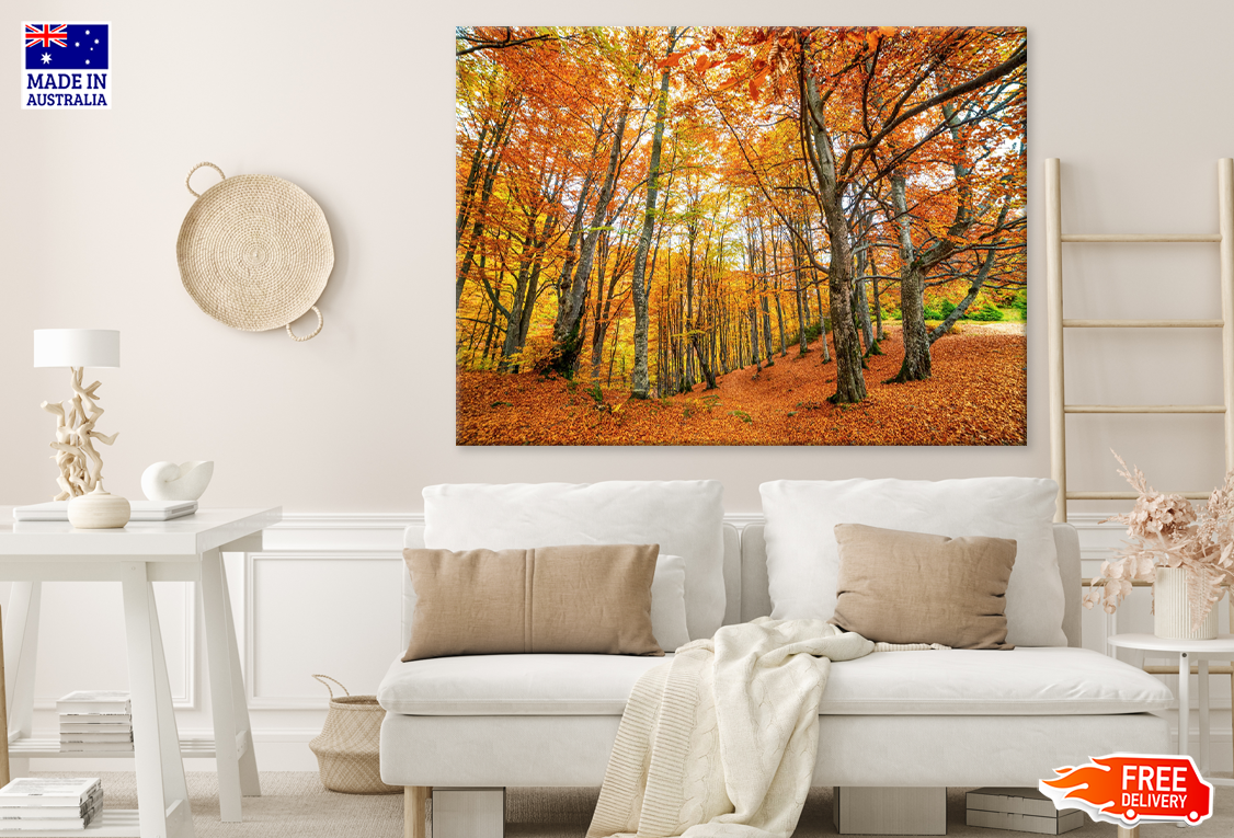 Autumn Leaves Photograph Print 100% Australian Made