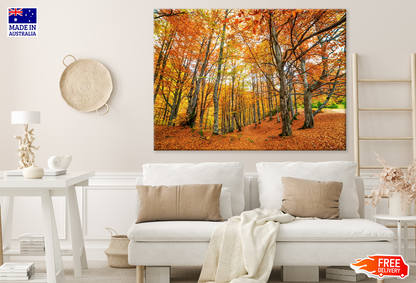Autumn Leaves Photograph Print 100% Australian Made