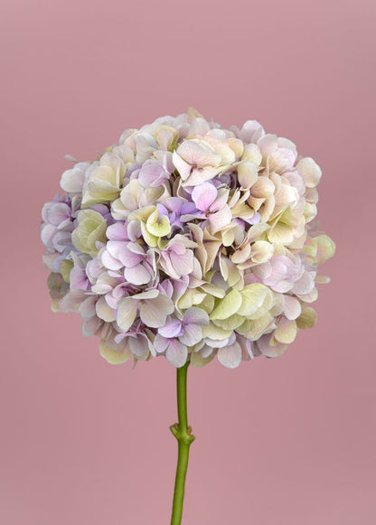 Flower Bouquet Closeup Photograph Home Decor Premium Quality Poster Print Choose Your Sizes