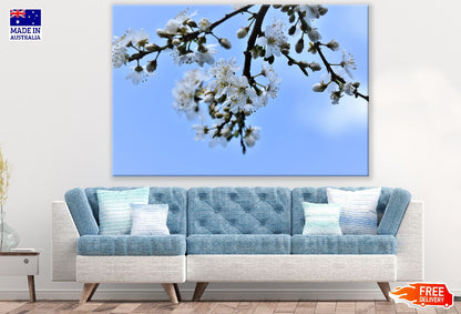 White Plum blossom Flowers & Buds Photograph Print 100% Australian Made