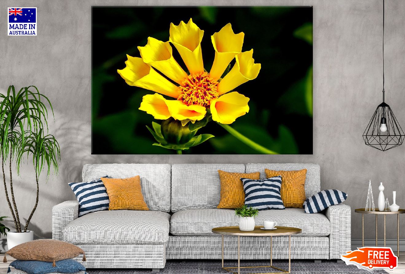 Yellow Flower Closeup Photograph Print 100% Australian Made