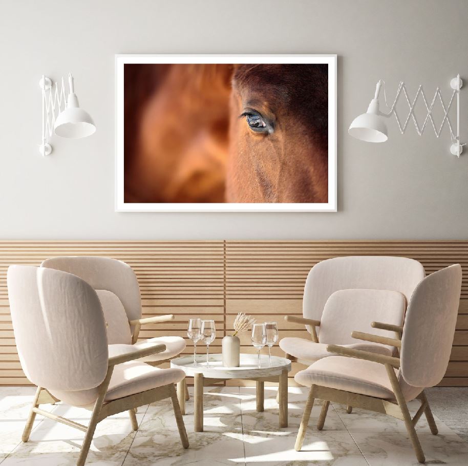 Horse Portrait Photograph Home Decor Premium Quality Poster Print Choose Your Sizes