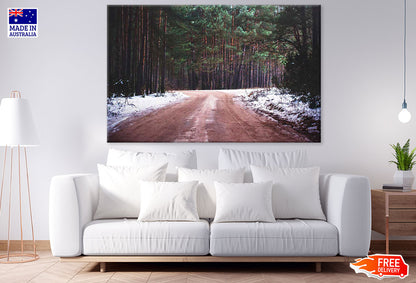 Road & Snow Covered Forest Photograph Print 100% Australian Made