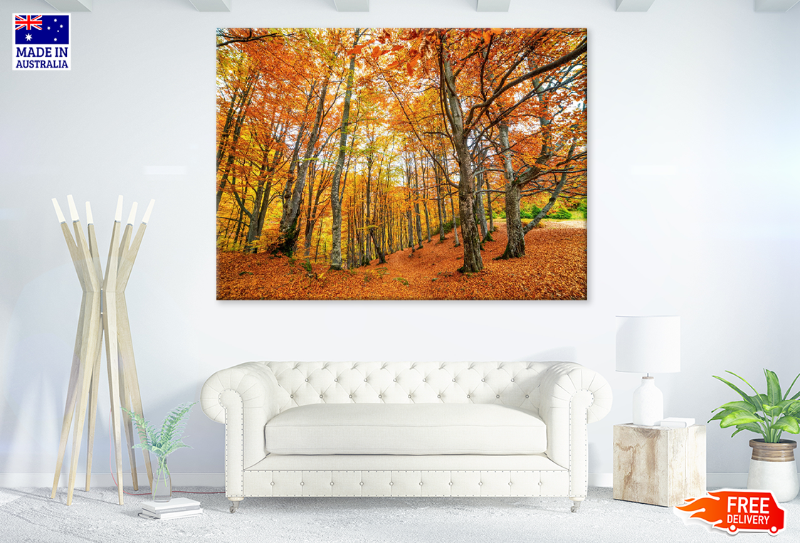 Autumn Leaves Photograph Print 100% Australian Made
