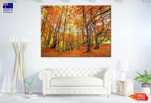 Autumn Leaves Photograph Print 100% Australian Made