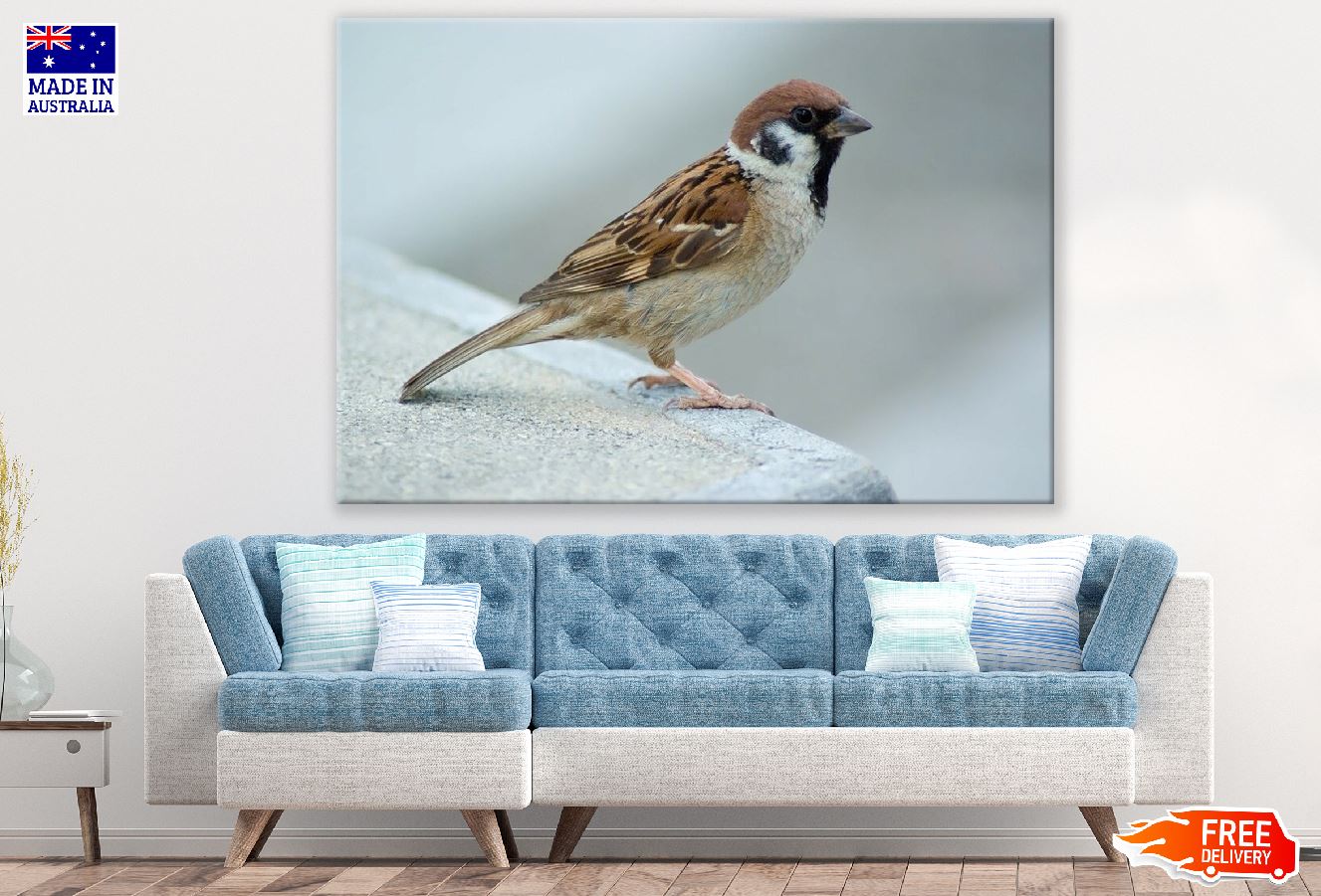 Sparrow Bird Closeup Photograph Print 100% Australian Made