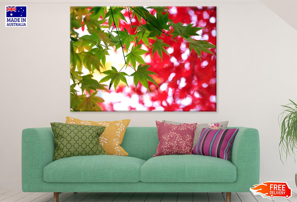 Green Autumn Leaves Closeup Photograph Print 100% Australian Made