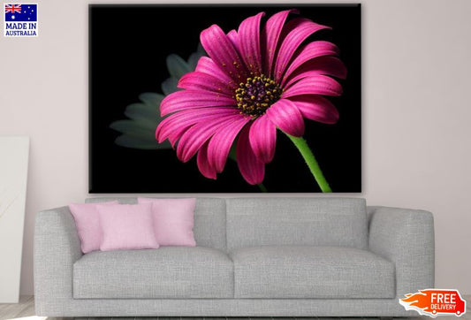 Bright Pink Flower Closeup Photograph Print 100% Australian Made