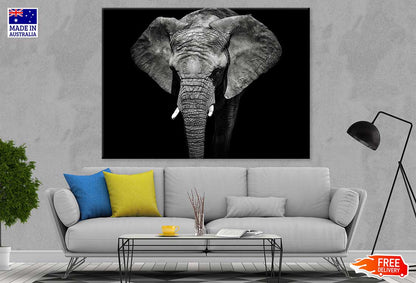 Elephant on Dark B&W Photograph Print 100% Australian Made