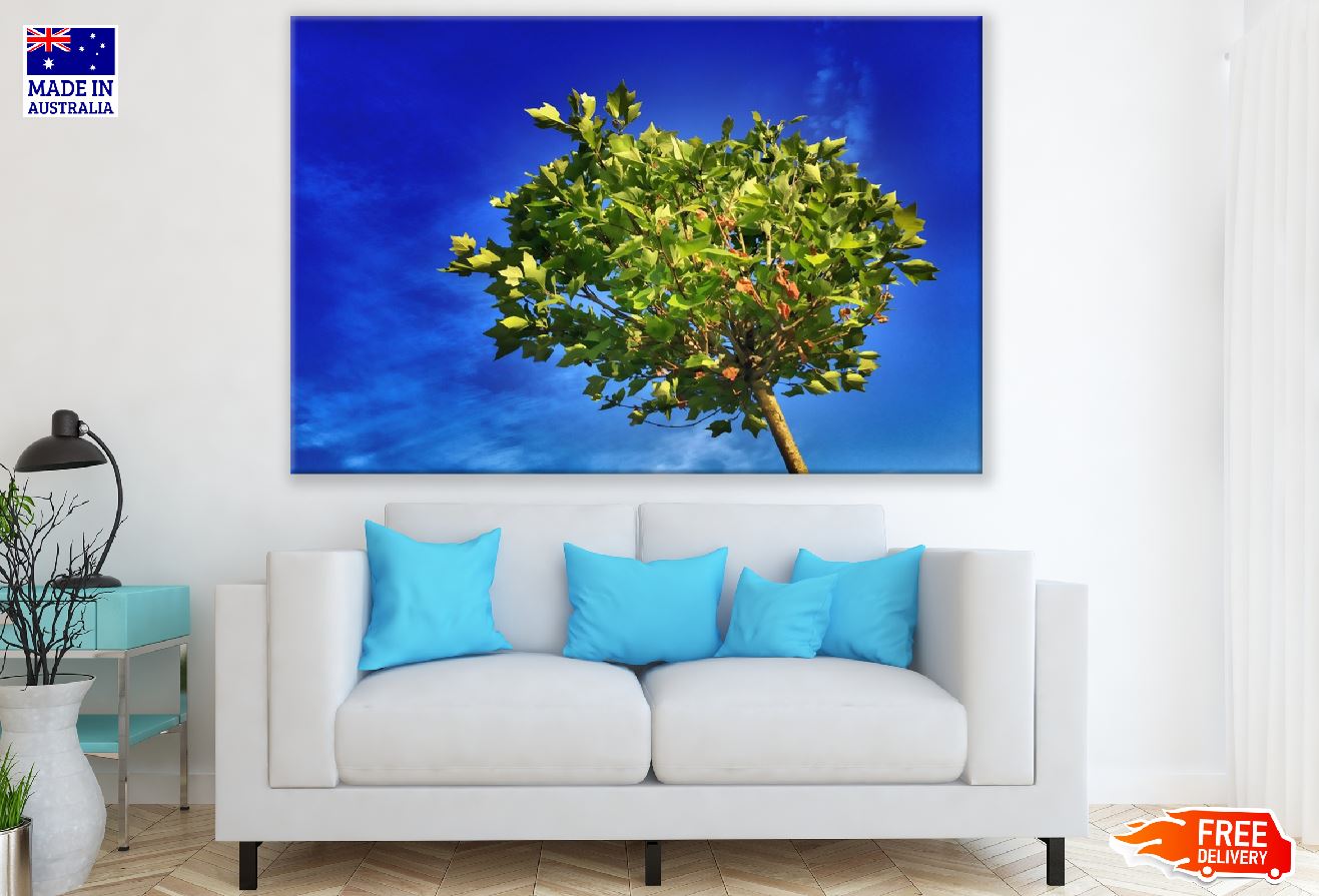 Maple Tree Under Blue Sky Photograph Print 100% Australian Made