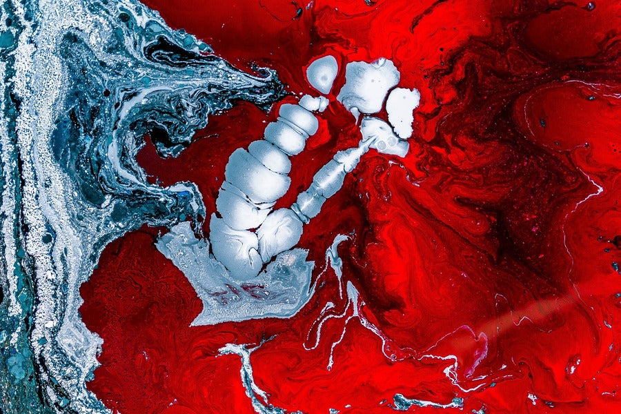Silver & Red Abstract Design Print 100% Australian Made
