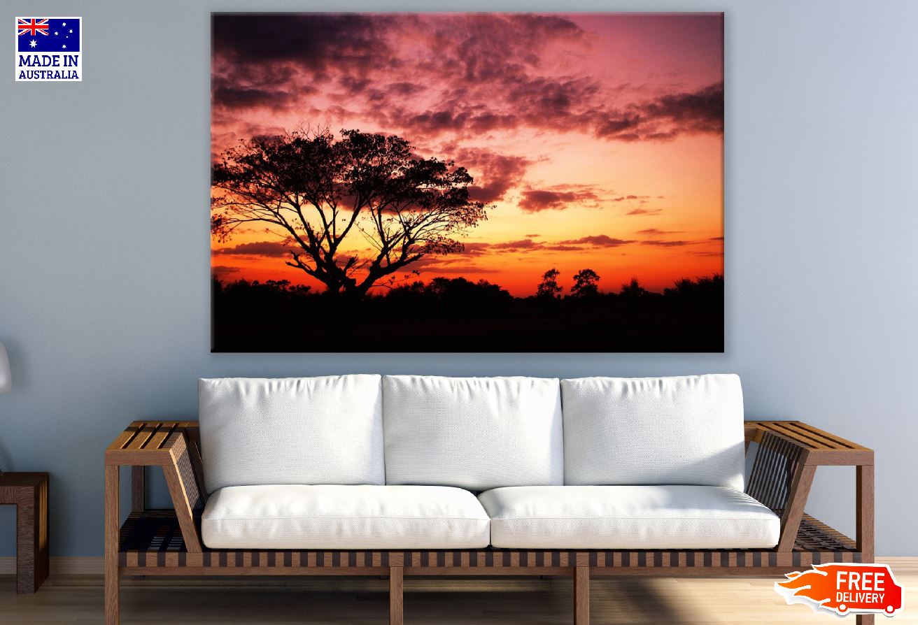 Tree at Sunset View Photograph Print 100% Australian Made