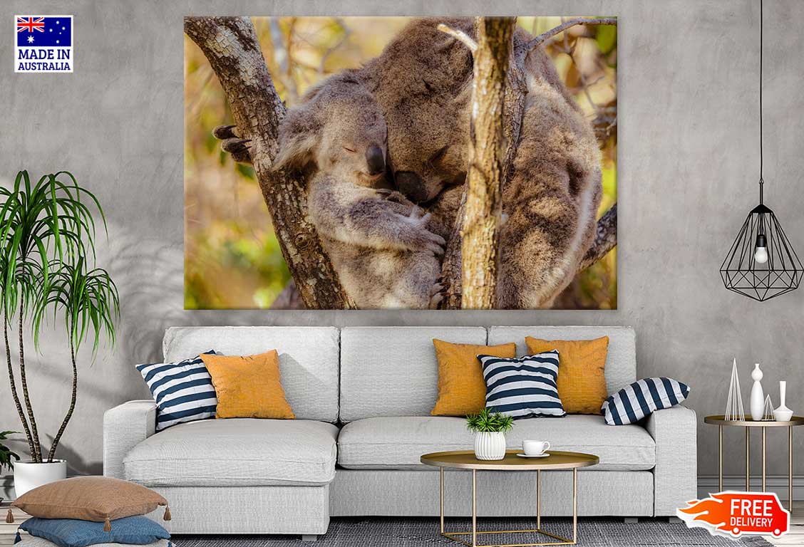 Koala Bear Mom & Baby Photograph Print 100% Australian Made