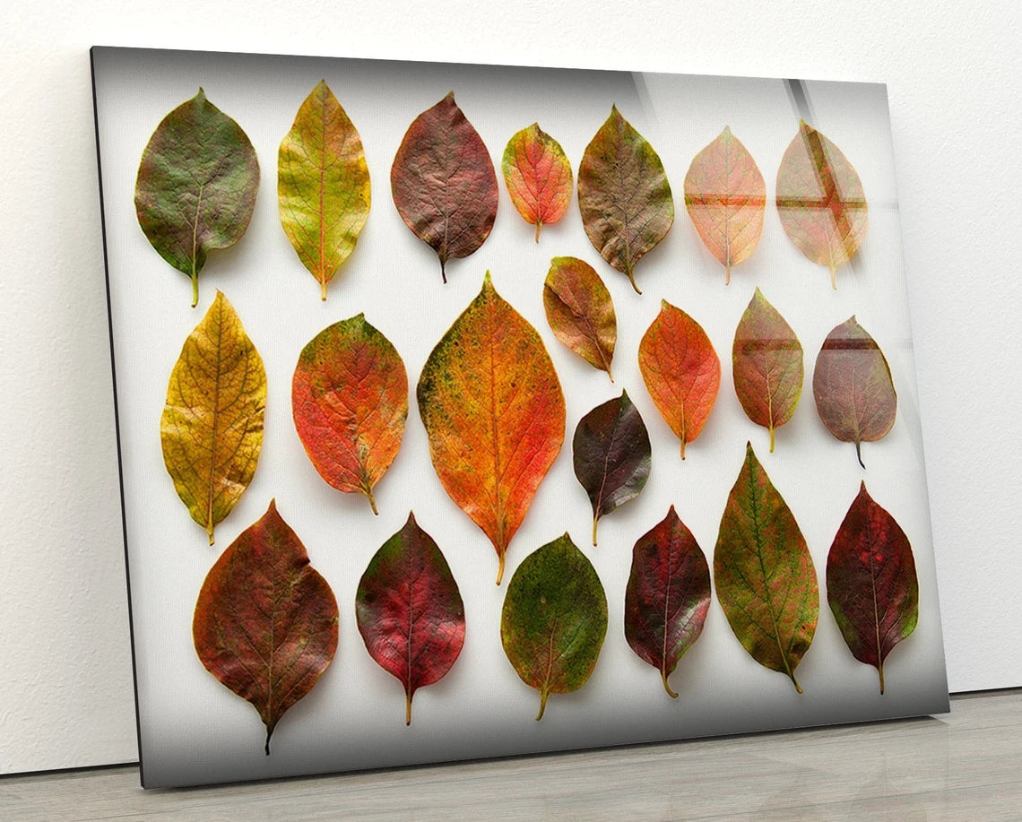 Colorful Leaves Photograph Acrylic Glass Print Tempered Glass Wall Art 100% Made in Australia Ready to Hang