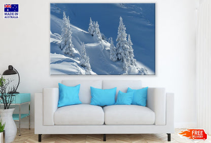 Snow Covered Tree Photograph Print 100% Australian Made