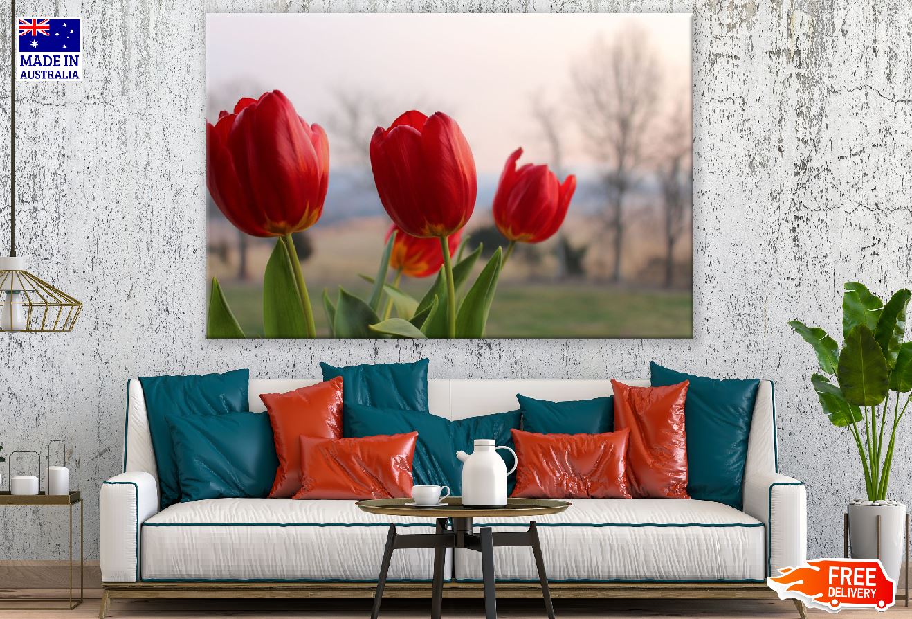 Red Tulip Flowers Photograph Print 100% Australian Made
