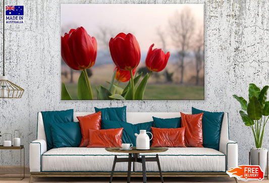 Red Tulip Flowers Photograph Print 100% Australian Made