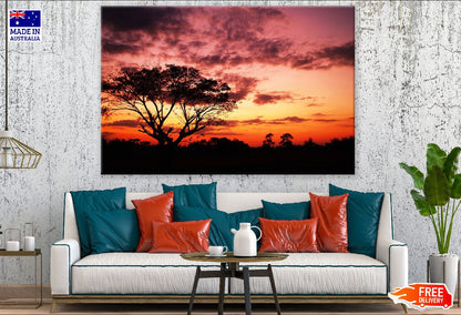 Tree at Sunset View Photograph Print 100% Australian Made