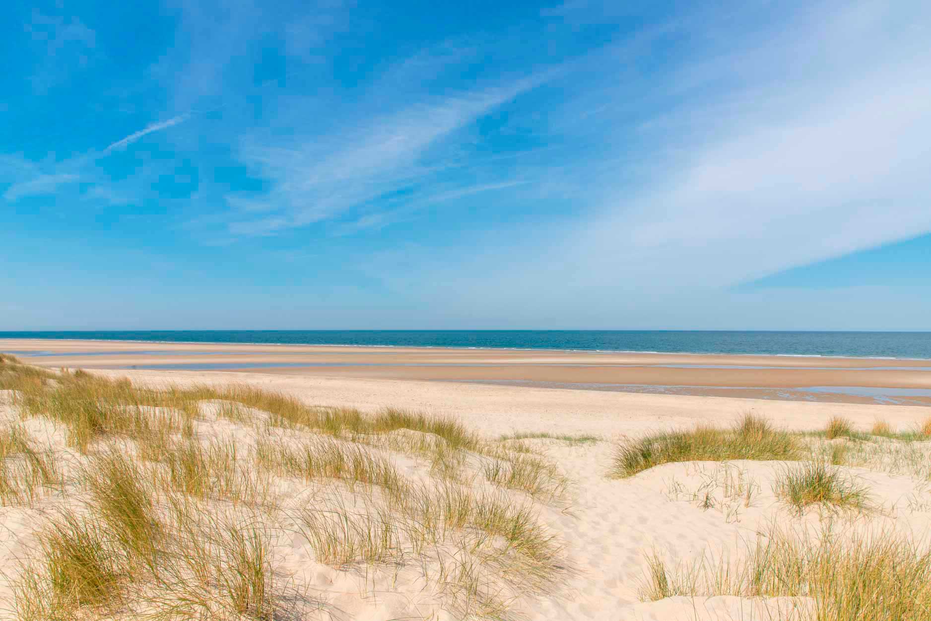 Bella Home Sand Dunes in The Coast of Nord Sea Print Canvas Ready to hang