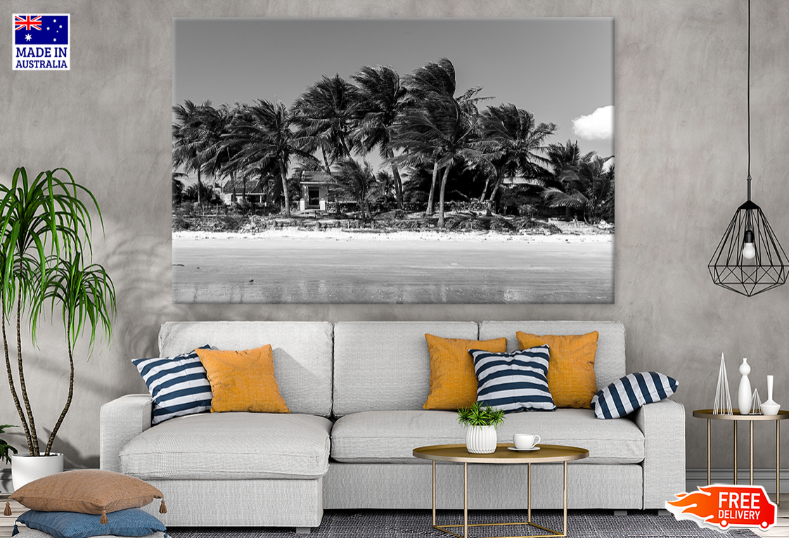 Sea Shore & palm Trees B&W Photograph Print 100% Australian Made