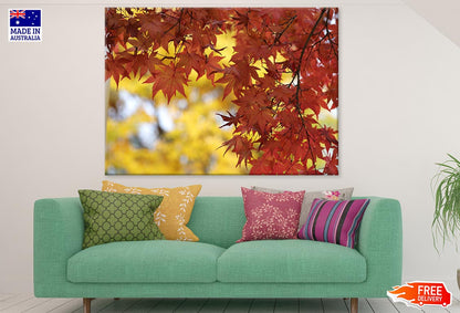 Orange Autumn Leaves Closeup Photograph Print 100% Australian Made