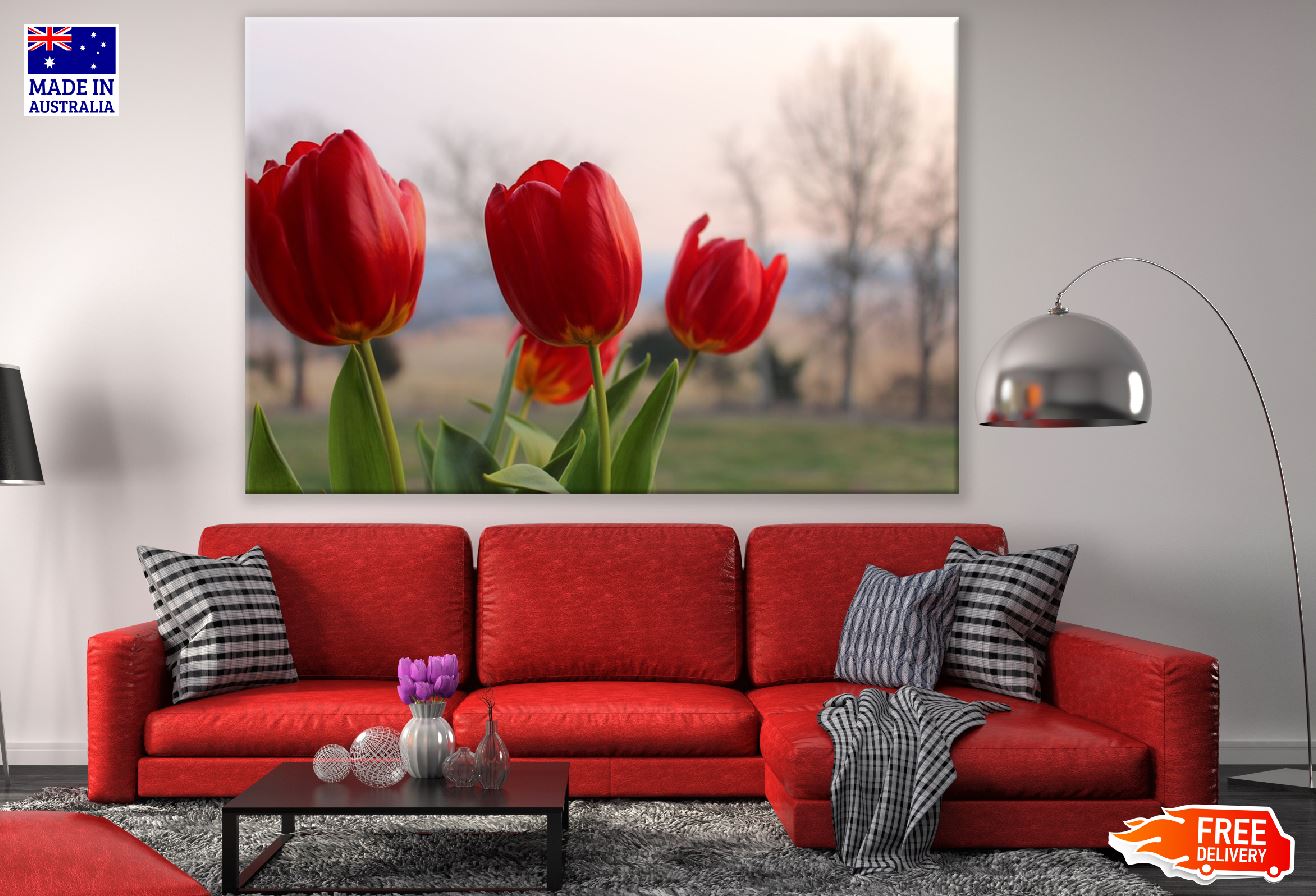 Red Tulip Flowers Photograph Print 100% Australian Made