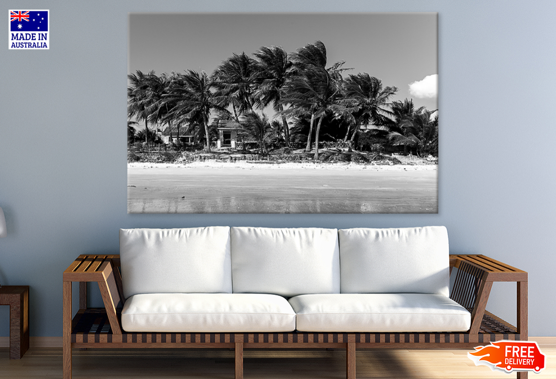 Sea Shore & palm Trees B&W Photograph Print 100% Australian Made