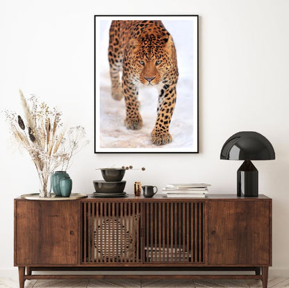 Leopard Walk on Snow Photograph Home Decor Premium Quality Poster Print Choose Your Sizes