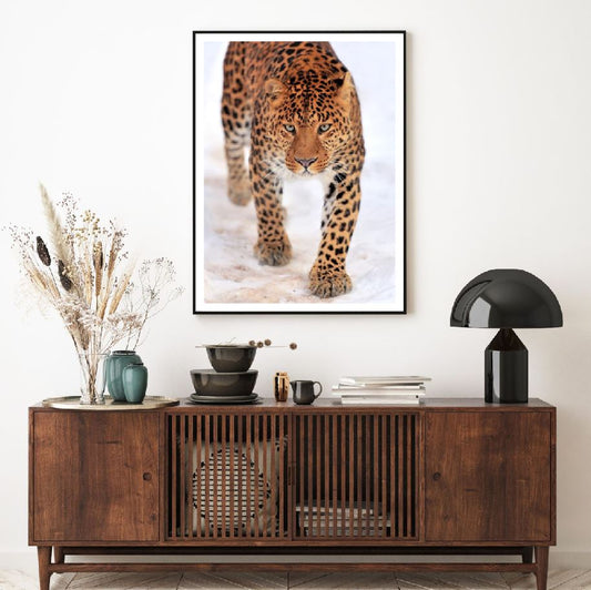 Leopard Walk on Snow Photograph Home Decor Premium Quality Poster Print Choose Your Sizes