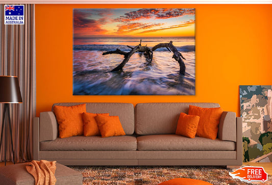 Sunrise at Driftwood Beach View Photograph Print 100% Australian Made