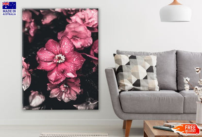 Pink Flower Closeup Photograph Print 100% Australian Made