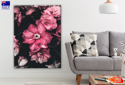 Pink Flower Closeup Photograph Print 100% Australian Made