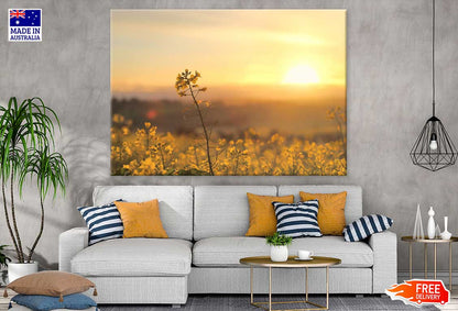 Sunrise Yellow Flower Plant View Photograph Print 100% Australian Made