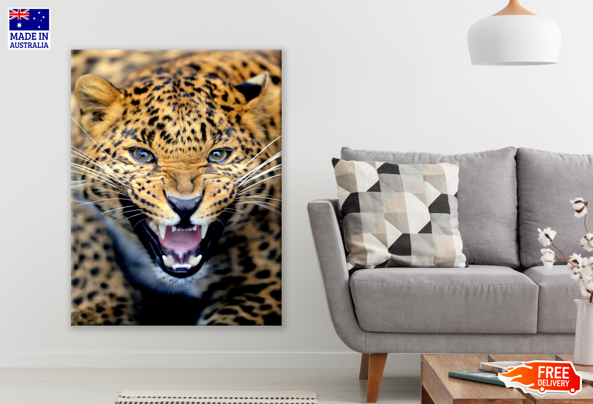 Leopard Face Portrait Photograph Print 100% Australian Made