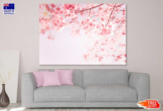 Pink Blossom Flowers Photograph Print 100% Australian Made