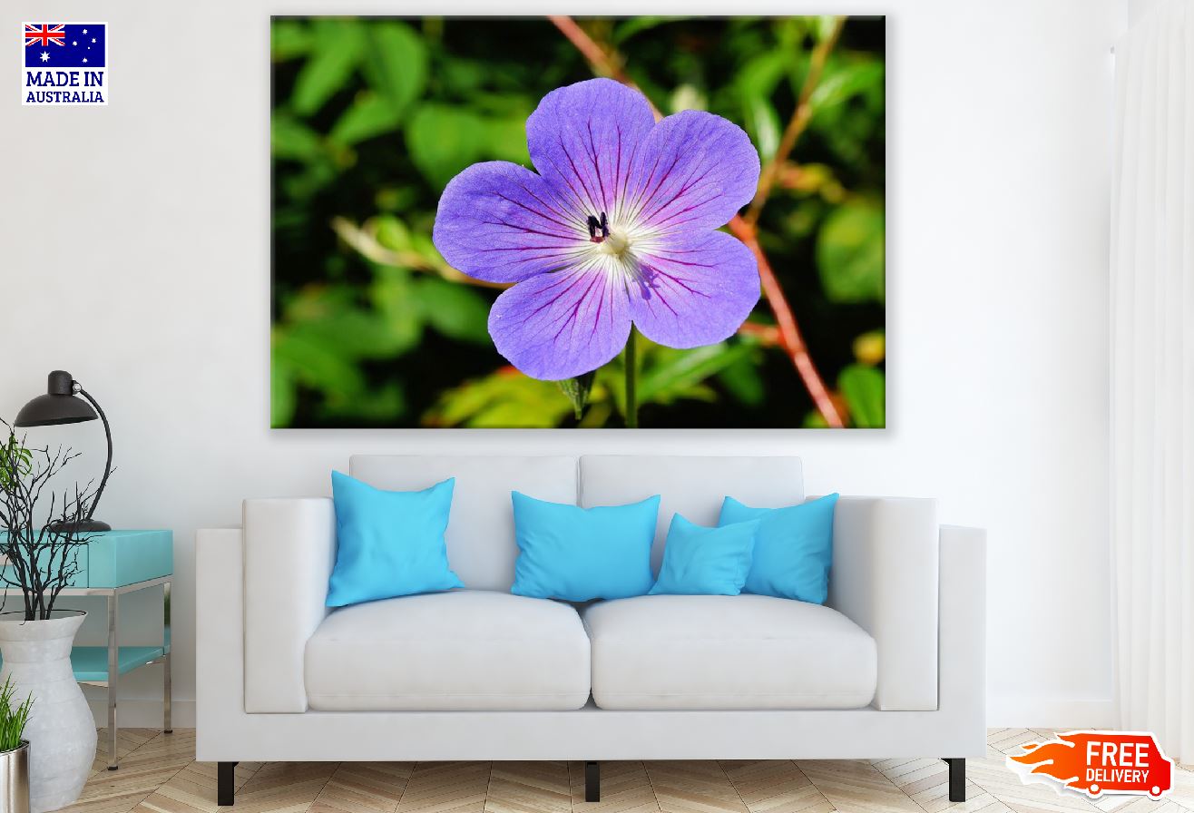 Purple Blossom Flower Closeup Photograph Print 100% Australian Made