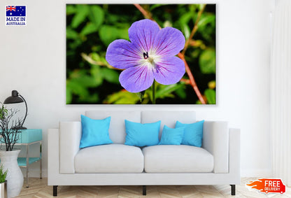 Purple Blossom Flower Closeup Photograph Print 100% Australian Made