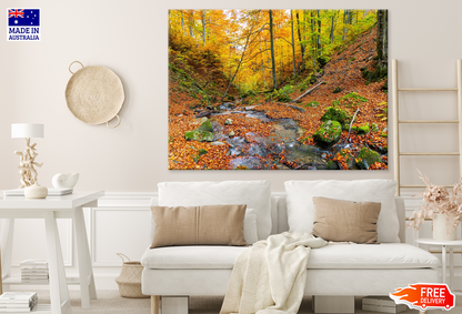 Autumn Leaves Photograph Print 100% Australian Made