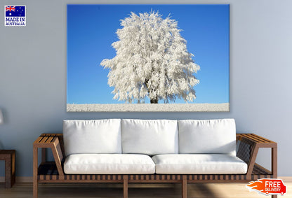 Snow Tree Under Blue Sky Photograph Print 100% Australian Made