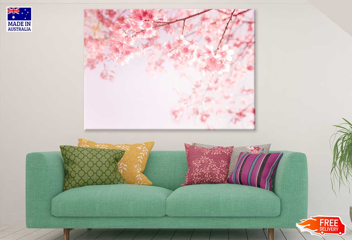 Pink Blossom Flowers Photograph Print 100% Australian Made