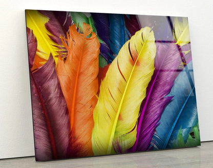 Multicolored Feathers Closeup Photograph Acrylic Glass Print Tempered Glass Wall Art 100% Made in Australia Ready to Hang