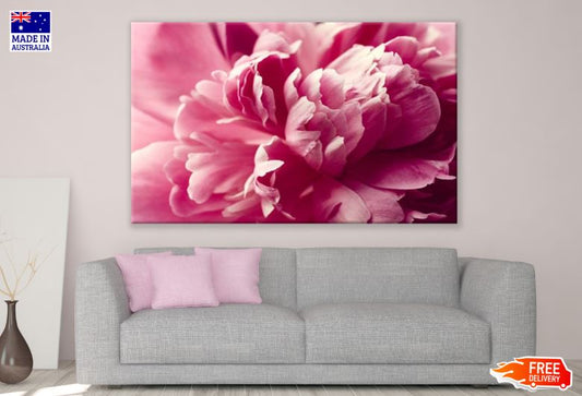 Pink Peony Flower Print 100% Australian Made